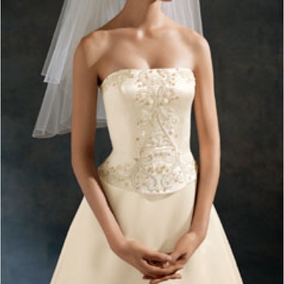 Oleg Cassini Ivory Champagne Dress - Picture 1 of 3